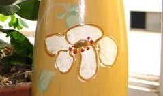 瓶子爆料挂牌怎么弄的视频,瓶子爆料挂牌视频教程解析