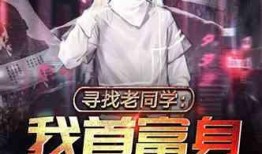 娱乐园爆料大佬是谁啊小说,揭开神秘面纱