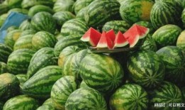 以前爆料西瓜视频收益的博主,揭秘博主盈利真相