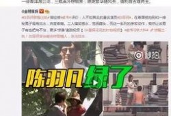 济南出轨爆料案件最新,真相与争议交织的婚姻悬疑剧