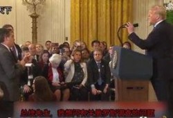 特朗普爆料记者视频播放,揭秘幕后的真相与争议