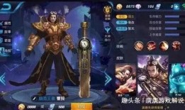 王者爆料素材视频大全