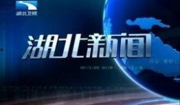 湖北广播电视台爆料新闻,揭秘重大新闻事件背后真相