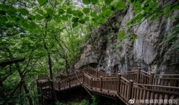 神鹿峰景区最新爆料