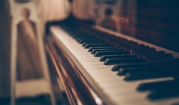 俄罗斯爆料钢琴视频,一场视觉与听觉的盛宴