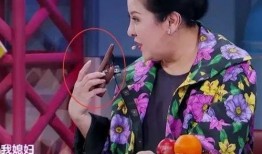 向太爆料儿媳妇视频播放,揭秘娱乐圈背后风波