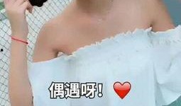 张大凡被爆料视频大全,揭秘事件背后真相