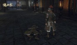 逆水寒今日爆料在哪看,揭秘今日热点，不容错过的精彩内容