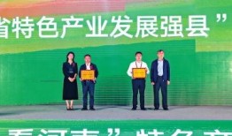 临颍新闻爆料最新消息