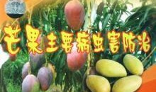 南宁芒果树爆料案件视频,揭秘背后惊人真相