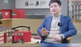 张小泉爆料者视频大全集,揭秘事件背后真相