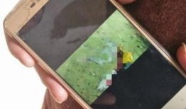 我怒了手机在线观看,激情燃烧的瞬间，揭秘怒了背后的故事