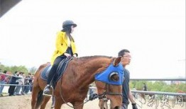 骏马在线观看,驰骋云端，共赴速度与激情之旅