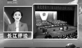 湖北广播电视台爆料新闻,揭秘重大新闻事件背后真相