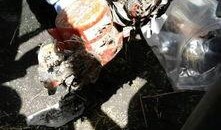 最新黑匣子爆料新闻,事故真相再引热议