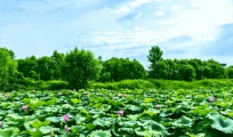 张大锤爆料预告最新消息,最新消息抢先看，揭秘娱乐圈风云变幻！