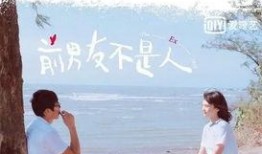 杨丞琳前男友爆料视频,揭秘昔日恋情内幕