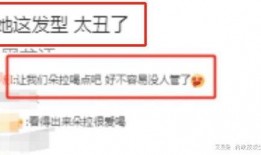 冰岛爆料最新视频播放,壮丽极光背后的神秘故事