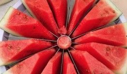 每日大赛免费吃瓜,免费瓜果盛宴等你来尝！