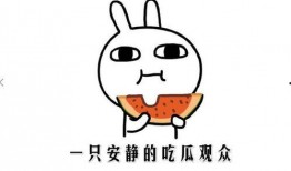 吃瓜事件在线免费观看,揭秘幕后真相