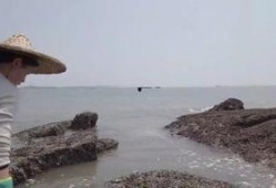 海滩 在线观看,畅游视觉盛宴