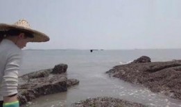 海滩 在线观看,畅游视觉盛宴