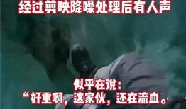 西湖爆料冲突事件视频,视频揭示惊人一幕