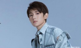 王源爆料贴吧最新消息,揭秘娱乐圈不为人知的幕后故事