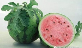 八卦吃瓜网红是谁啊图片,揭秘“根据八卦吃瓜网红是谁啊图片”背后的故事