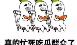 娱乐之星吃瓜群众是谁,揭秘娱乐圈幕后风云