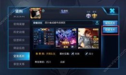 王者爆料青鸟视频在线观看,青鸟神秘视频首曝，揭秘新英雄神秘面纱