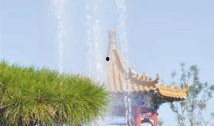 周口森林公园爆料视频最新